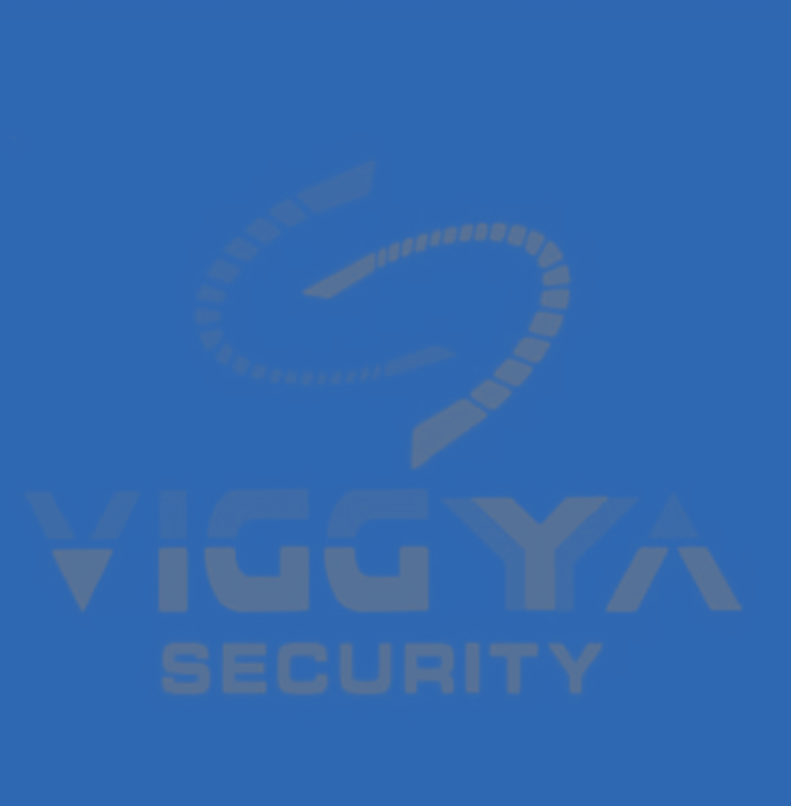 Logotipo de VIGGYA SECURITY